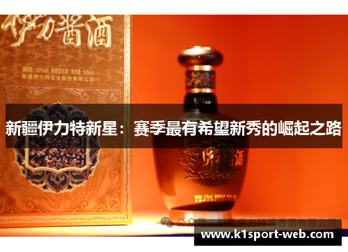 新疆伊力特新星：赛季最有希望新秀的崛起之路